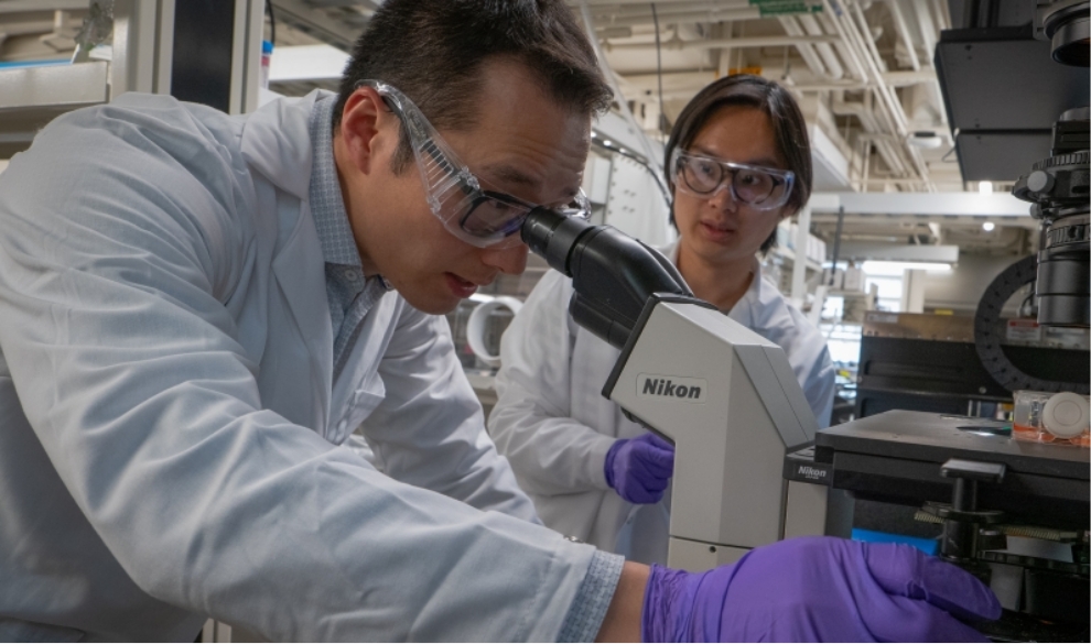 two scientists working in a laboratory